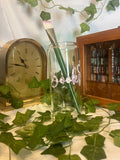 Books glass